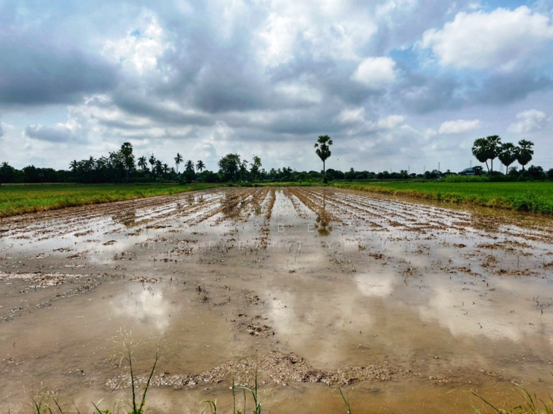 ที่ดินสรรพยา ชัยนาท, ชัยนาท, สรรพยา, สรรพยา, ชัยนาท, 5,220 ตร.ม., ที่ดิน ขาย, โดย The Best Property แอ้, 500164869 - DDproperty.com