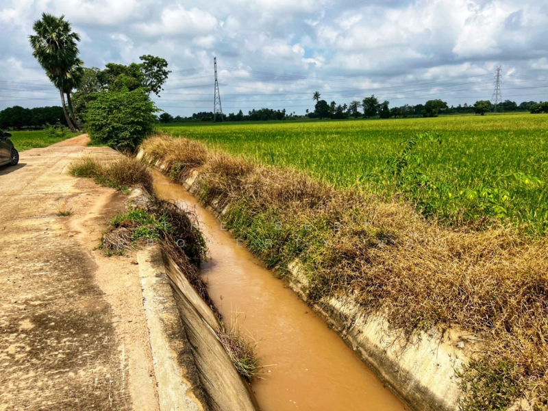 ที่ดินสรรพยา ชัยนาท, Chai Nat, Sanphaya, Sanphaya, Chai Nat, , 5,220 sqm, Land For Sale, by The Best Property แอ้, 500164869 - DDproperty.com