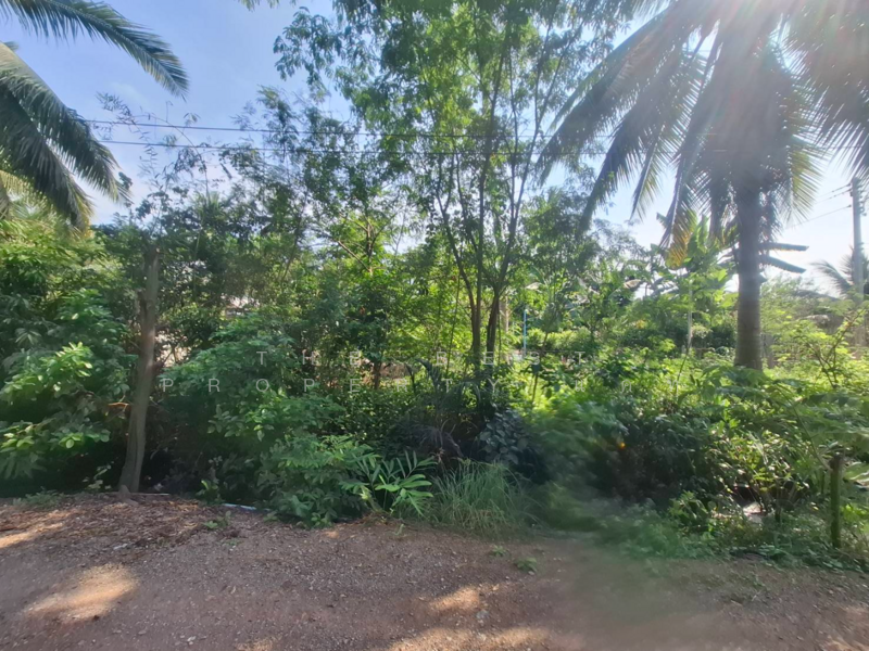 ที่ดินคลองเขิน สมุทรสงคราม, Samut Songkhram, Khlong Khoen, Muang Samut Songkhram, Samut Songkhram, , 804 sqm, Land For Sale, by The Best Property แคท, 500164896 - DDproperty.com