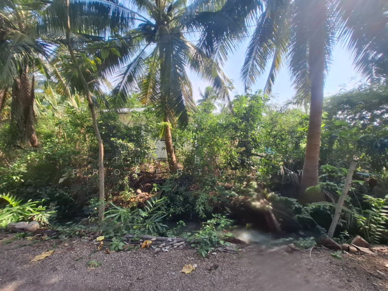 ที่ดินคลองเขิน สมุทรสงคราม, Samut Songkhram, Khlong Khoen, Muang Samut Songkhram, Samut Songkhram, , 804 sqm, Land For Sale, by The Best Property แคท, 500164896 - DDproperty.com