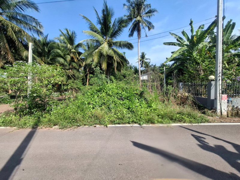ที่ดินคลองเขิน สมุทรสงคราม, Samut Songkhram, Khlong Khoen, Muang Samut Songkhram, Samut Songkhram, , 804 sqm, Land For Sale, by The Best Property แคท, 500164896 - DDproperty.com