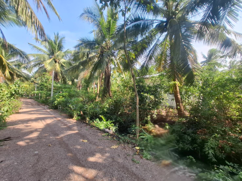 ที่ดินคลองเขิน สมุทรสงคราม, Samut Songkhram, Khlong Khoen, Muang Samut Songkhram, Samut Songkhram, , 804 sqm, Land For Sale, by The Best Property แคท, 500164896 - DDproperty.com