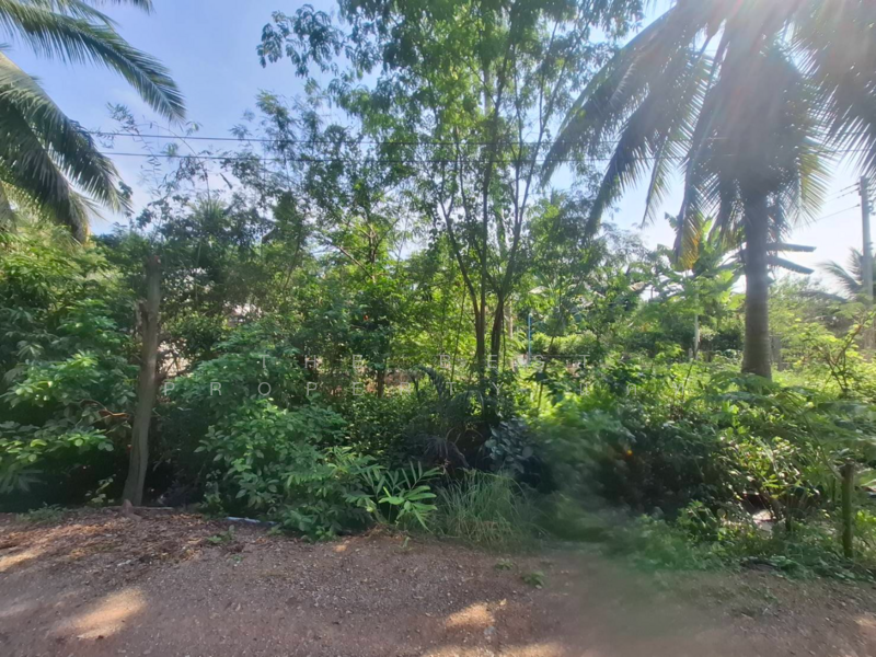 ที่ดินคลองเขิน สมุทรสงคราม, Samut Songkhram, Khlong Khoen, Muang Samut Songkhram, Samut Songkhram, , 804 sqm, Land For Sale, by The Best Property แคท, 500164896 - DDproperty.com