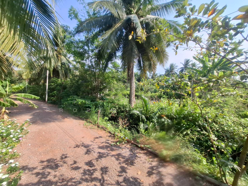 ที่ดินคลองเขิน สมุทรสงคราม, Samut Songkhram, Khlong Khoen, Muang Samut Songkhram, Samut Songkhram, , 804 sqm, Land For Sale, by The Best Property แคท, 500164896 - DDproperty.com