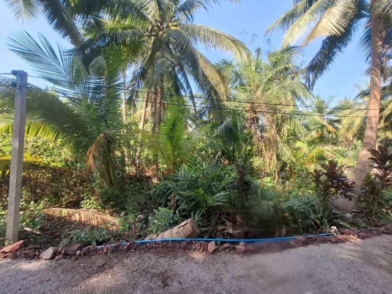 ที่ดินคลองเขิน สมุทรสงคราม, Samut Songkhram, Khlong Khoen, Muang Samut Songkhram, Samut Songkhram, , 804 sqm, Land For Sale, by The Best Property แคท, 500164896 - DDproperty.com