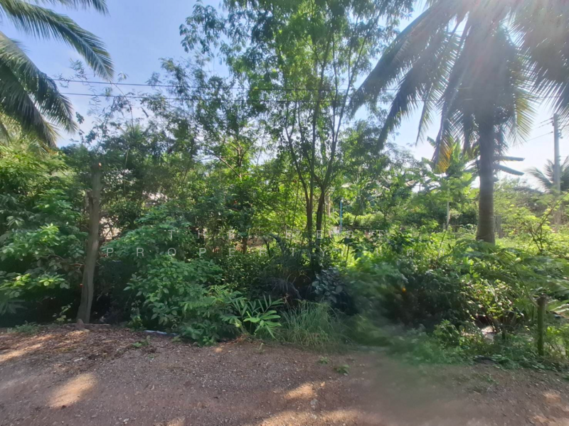 ที่ดินคลองเขิน สมุทรสงคราม, Samut Songkhram, Khlong Khoen, Muang Samut Songkhram, Samut Songkhram, , 804 sqm, Land For Sale, by The Best Property แคท, 500164896 - DDproperty.com