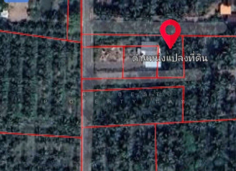 ที่ดินคลองเขิน สมุทรสงคราม, Samut Songkhram, Khlong Khoen, Muang Samut Songkhram, Samut Songkhram, , 804 sqm, Land For Sale, by The Best Property แคท, 500164896 - DDproperty.com