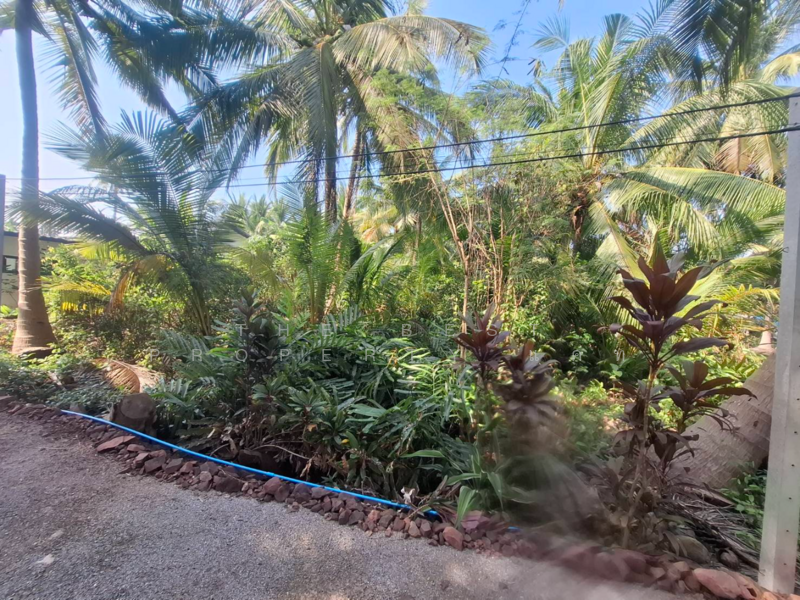 ที่ดินคลองเขิน สมุทรสงคราม, Samut Songkhram, Khlong Khoen, Muang Samut Songkhram, Samut Songkhram, , 804 sqm, Land For Sale, by The Best Property แคท, 500164896 - DDproperty.com