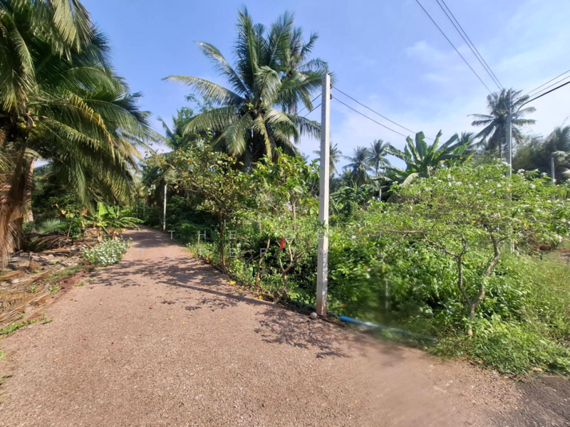 ที่ดินคลองเขิน สมุทรสงคราม, Samut Songkhram, Khlong Khoen, Muang Samut Songkhram, Samut Songkhram, , 804 sqm, Land For Sale, by The Best Property แคท, 500164896 - DDproperty.com