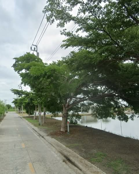 ที่ดินบางบ่อ สมุทรปราการ, สมุทรปราการ, บางบ่อ, บางบ่อ, สมุทรปราการ, 524 ตร.ม., ที่ดิน ขาย, โดย The Best Property บีบี, 500164925 - DDproperty.com