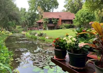 ขาย - ชะอม, สระบุรี