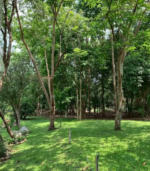 ชะอม, Saraburi, Cha Om, Kaeng Khoi, Saraburi, , 33,036 sqm, Land For Sale, by กมล นิทรัพย์, 500164993 - DDproperty.com