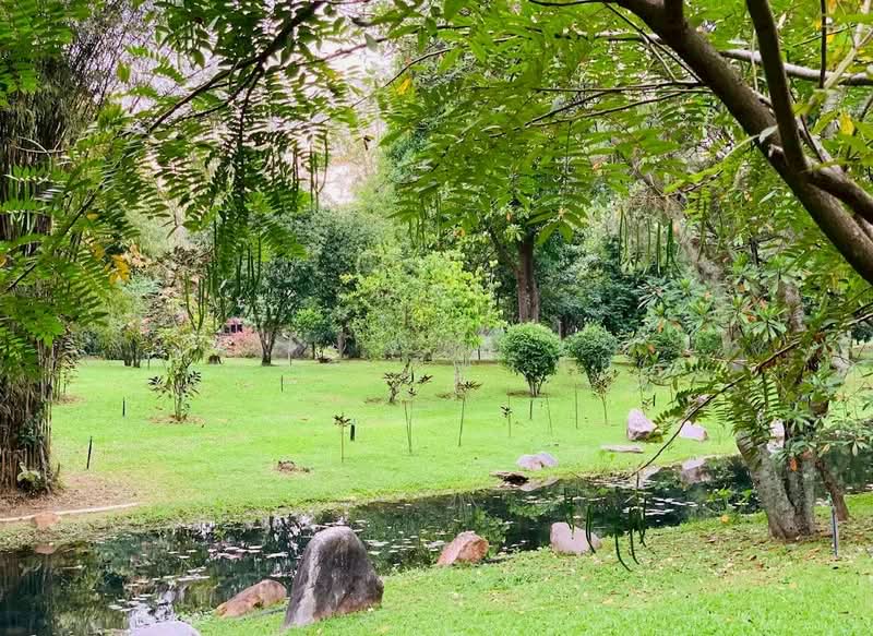 ชะอม, Saraburi, Cha Om, Kaeng Khoi, Saraburi, , 33,036 sqm, Land For Sale, by กมล นิทรัพย์, 500164993 - DDproperty.com