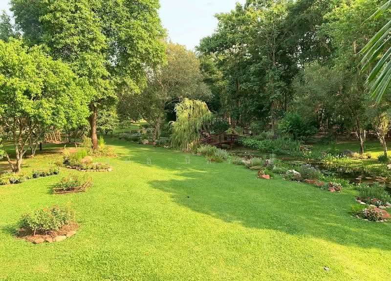 ชะอม, Saraburi, Cha Om, Kaeng Khoi, Saraburi, , 33,036 sqm, Land For Sale, by กมล นิทรัพย์, 500164993 - DDproperty.com