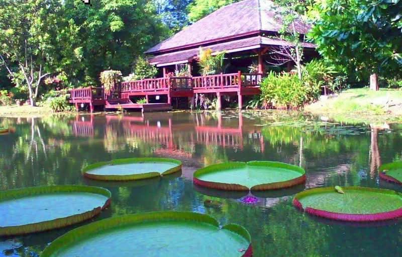 ชะอม, สระบุรี, ชะอม, แก่งคอย, สระบุรี, 33,036 ตร.ม., ที่ดิน ขาย, โดย กมล นิทรัพย์, 500164993 - DDproperty.com