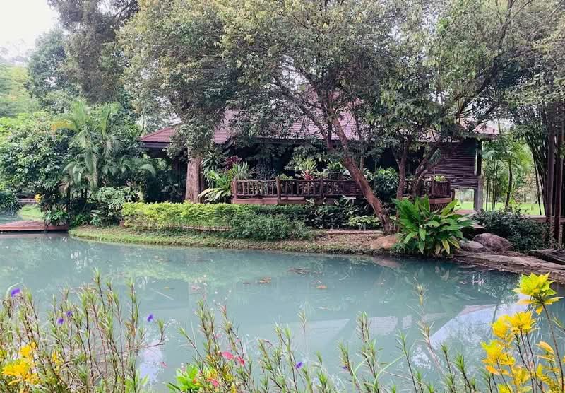 ชะอม, Saraburi, Cha Om, Kaeng Khoi, Saraburi, , 33,036 sqm, Land For Sale, by กมล นิทรัพย์, 500164993 - DDproperty.com