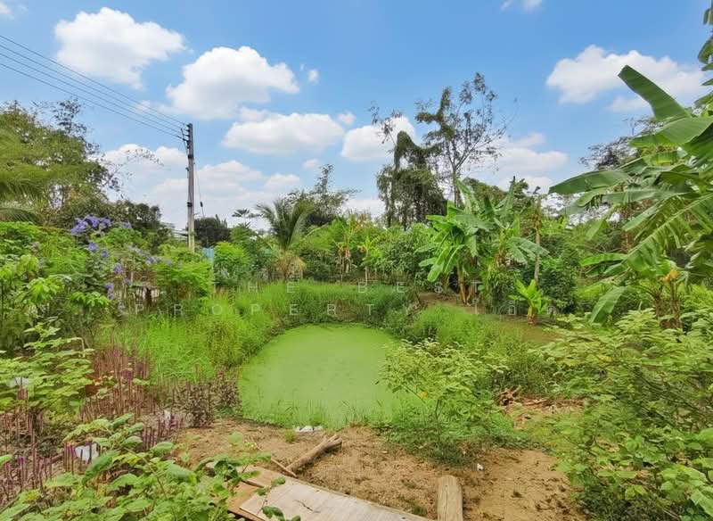 ขาย - บ้านเดี่ยวบ้านโป่ง ราชบุรี, ราชบุรี