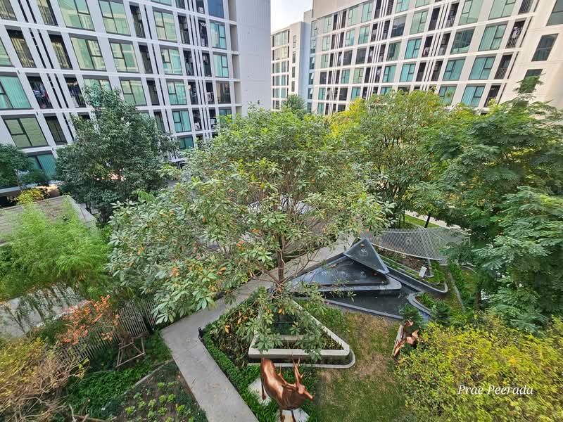 Atmoz Oasis Onnut, Bangkok, Soi On Nut 66/1, On Nut Road, Suan Luang, Suan Luang, Bangkok, 1 Bedroom, 27 sqm, Condo For Rent, by กำพนธ์ อัศวศิริวิลาศ, 500165015 - DDproperty.com