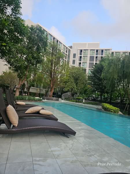 Atmoz Oasis Onnut, Bangkok, Soi On Nut 66/1, On Nut Road, Suan Luang, Suan Luang, Bangkok, 1 Bedroom, 27 sqm, Condo For Rent, by กำพนธ์ อัศวศิริวิลาศ, 500165015 - DDproperty.com