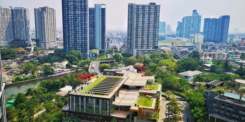 The Base Park East Sukhumvit 77 : เดอะ เบส พาร์ค อีส สุขุมวิท 77, กรุงเทพ, 99 ซอย ปรีดีพนมยงค์ 2, พระโขนงเหนือ, วัฒนา, กรุงเทพ, 31 ตร.ม., คอนโด ให้เช่า, โดย ศิรินทร์ธร โรจนบวร, 500165026 - DDproperty.com