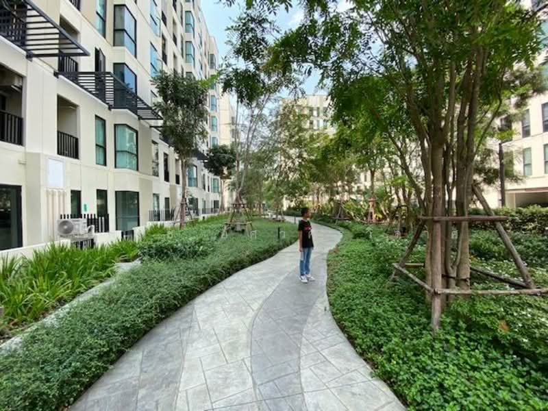 UNiO Sukhumvit 72 Phase 2 : ยูนิโอ สุขุมวิท 72 เฟส 2, สมุทรปราการ, สำโรงเหนือ, เมืองสมุทรปราการ, สมุทรปราการ, 23 ตร.ม., คอนโด ให้เช่า, โดย กำพนธ์ อัศวศิริวิลาศ, 500165043 - DDproperty.com