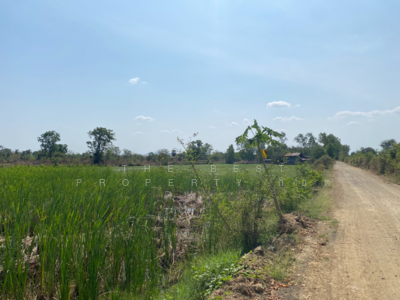 ขาย - ที่ดินหนองปลิง นครสวรรค์, นครสวรรค์