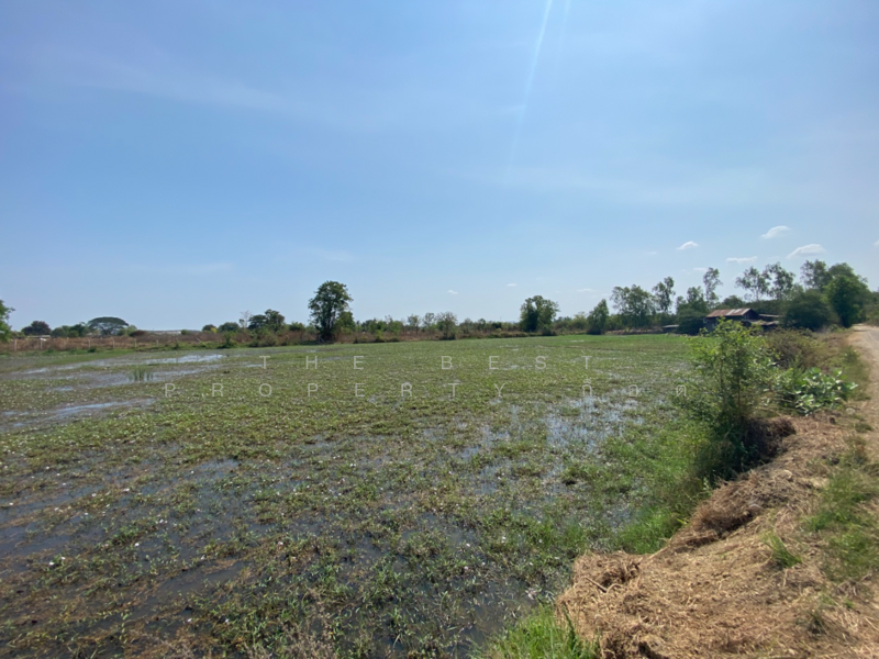 ที่ดินหนองปลิง นครสวรรค์, Nakhon Sawan, Nong Pling, Muang Nakhon Sawan, Nakhon Sawan, , 14,952 sqm, Land For Sale, by The Best Property ก็อต, 500165049 - DDproperty.com