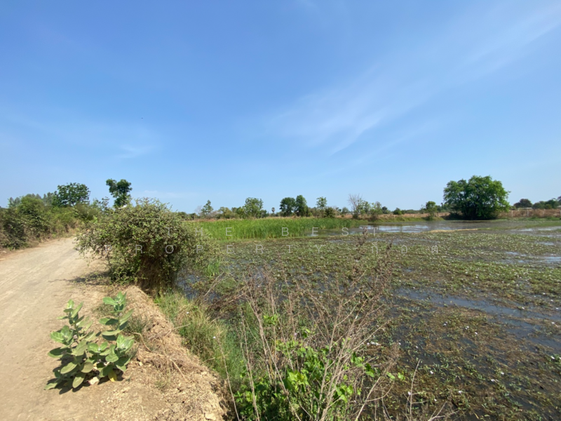 ที่ดินหนองปลิง นครสวรรค์, Nakhon Sawan, Nong Pling, Muang Nakhon Sawan, Nakhon Sawan, , 14,952 sqm, Land For Sale, by The Best Property ก็อต, 500165049 - DDproperty.com