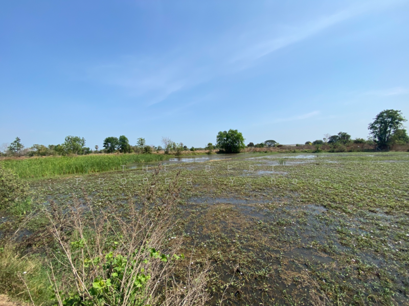 ที่ดินหนองปลิง นครสวรรค์, Nakhon Sawan, Nong Pling, Muang Nakhon Sawan, Nakhon Sawan, , 14,952 sqm, Land For Sale, by The Best Property ก็อต, 500165049 - DDproperty.com