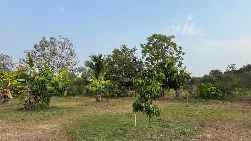 ขาย - บ้านเดี่ยวพร้อมที่ดินบ้านธิ ลำพูน, ลำพูน