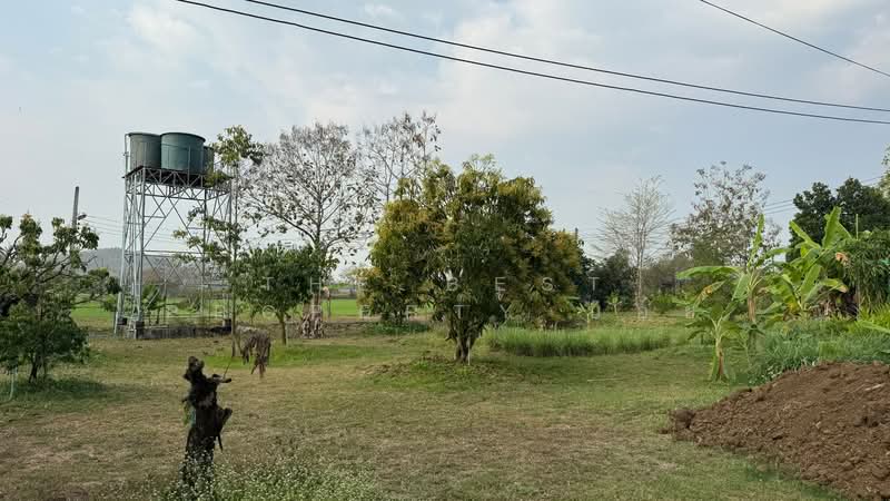 บ้านเดี่ยวพร้อมที่ดินบ้านธิ ลำพูน, Lamphun, Ban Thi, Ban Thi, Lamphun, 1 Bedroom, 200 sqm, Single Detached House For Sale, by The Best Property บอย, 500165054 - DDproperty.com