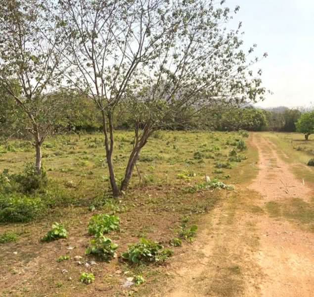 ถนนมิตรภาพ ต.บ้านป่า อ.แก่งคอย จ.สระบุรี, Saraburi, Ban Pa, Kaeng Khoi, Saraburi, , 3,960 sqm, Land For Sale, by ณณัฐ ภัทรจินดานุวงศ์, 500165061 - DDproperty.com