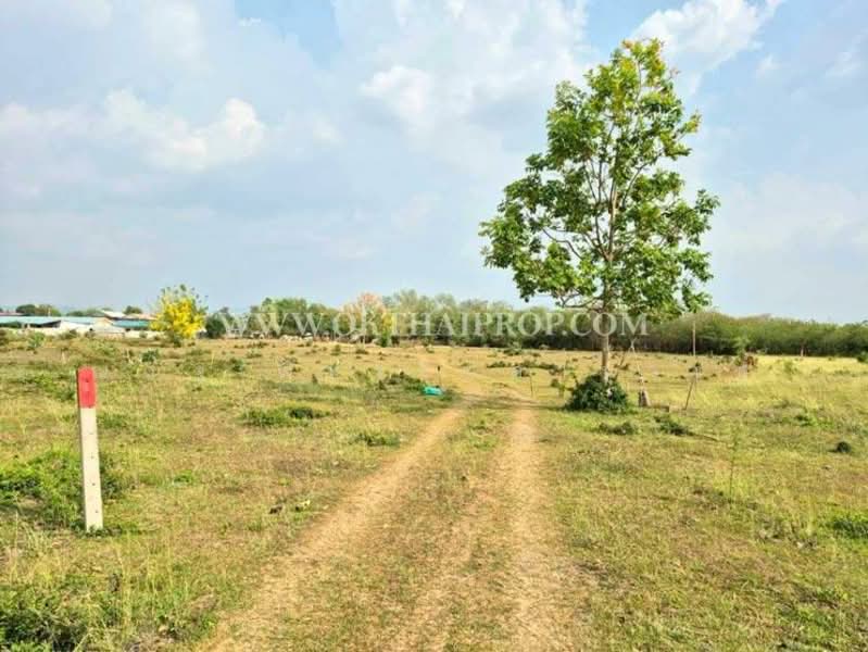 ถนนมิตรภาพ ต.บ้านป่า อ.แก่งคอย จ.สระบุรี, Saraburi, Ban Pa, Kaeng Khoi, Saraburi, , 3,960 sqm, Land For Sale, by ณณัฐ ภัทรจินดานุวงศ์, 500165061 - DDproperty.com
