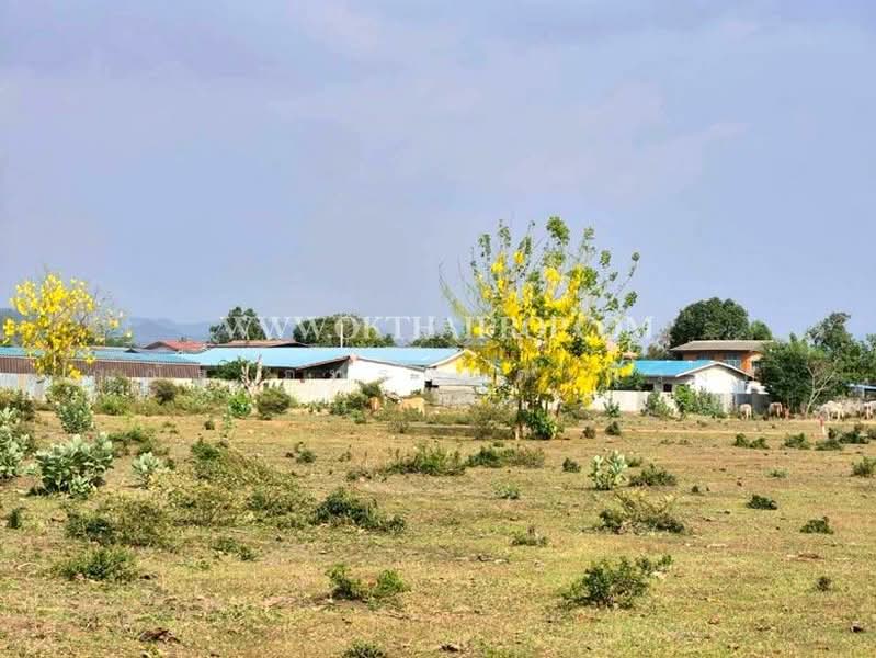 ถนนมิตรภาพ ต.บ้านป่า อ.แก่งคอย จ.สระบุรี, Saraburi, Ban Pa, Kaeng Khoi, Saraburi, , 3,960 sqm, Land For Sale, by ณณัฐ ภัทรจินดานุวงศ์, 500165061 - DDproperty.com