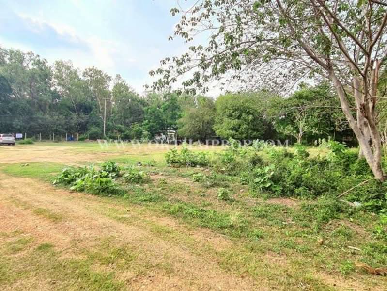 ถนนมิตรภาพ ต.บ้านป่า อ.แก่งคอย จ.สระบุรี, Saraburi, Ban Pa, Kaeng Khoi, Saraburi, , 3,960 sqm, Land For Sale, by ณณัฐ ภัทรจินดานุวงศ์, 500165061 - DDproperty.com