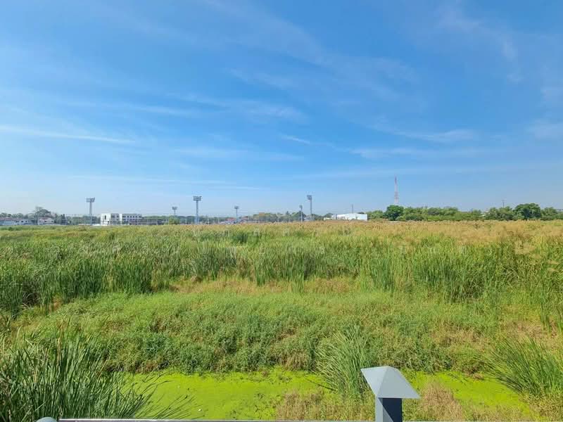 หมู่บ้านศุชญา ธัญบุรี คลอง 4 บึงยี่โถ ปทุมธานี, Pathum Thani, Bang Yitho, Thanyaburi, Pathum Thani, 4 Bedrooms, 200 sqm, Single Detached House For Sale, by นภัสศรณ์ วงศ์สินไทยกร (นันท์), 500165173 - DDproperty.com