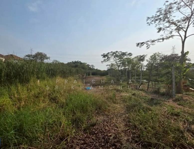 ที่ดิน ถนนเลียบด่วนกาญจนาภิเษก ทุ่งครุ, กรุงเทพ, ถนนเลียบด่วนกาญจนาภิเษก ทุ่งครุ, ทุ่งครุ, ทุ่งครุ, กรุงเทพ, 12,232 ตร.ม., ที่ดิน ขาย, โดย Pratchaya Srikhamchum, 500165188 - DDproperty.com