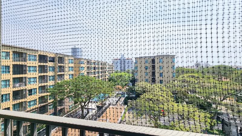 Rain Cha Am-Hua Hin, Phetchaburi, 429 Petchakasem Road, Cha-am, Cha-Am, Phetchaburi, 2 Bedrooms, 61 sqm, Condo For Sale, by Chuanpit Tongmanee, 500165212 - DDproperty.com