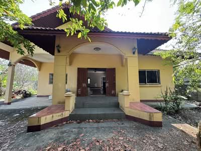 ขาย - สารภี, เชียงใหม่