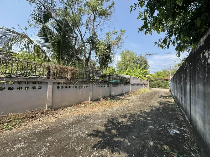 สารภี, เชียงใหม่, ยางเนิ้ง, สารภี, เชียงใหม่, 150 ตร.ม., บ้านเดี่ยว ขาย, โดย ณกรณ์พงศ์ (เก่ง) ชื่นจิตต์, 500165248 - DDproperty.com