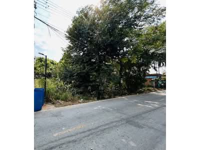 ขาย - ขายที่ดิน, นครราชสีมา