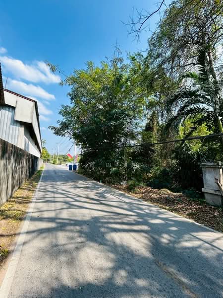 land for sell, Nakhon Ratchasima, Hua Thale, Muang Nakhon Ratchasima, Nakhon Ratchasima, , 788 sqm, Land For Sale, by คุณลี, 500165358 - DDproperty.com