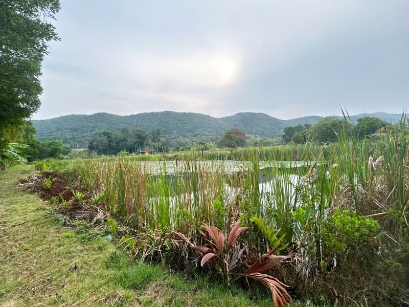 บ้านเดี่ยวพร้อมที่ดินท่าใหม่ จันทบุรี, Chanthaburi, Khlong Khut, Tha Mai, Chanthaburi, 1 Bedroom, 100 sqm, Single Detached House For Sale, by The Best Property เอ, 500165362 - DDproperty.com