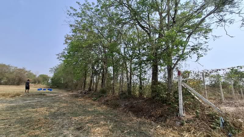 For Sale - ที่ดินนครนายก, Nakhon Nayok