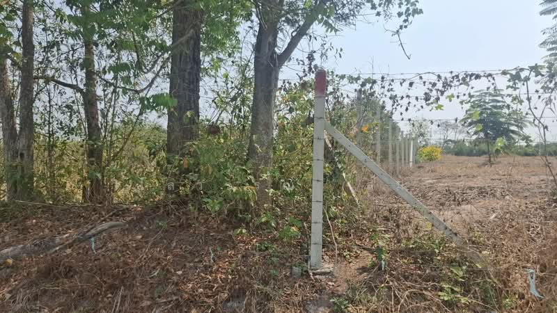 ที่ดินนครนายก, นครนายก, บ้านพริก, บ้านนา, นครนายก, 7,216 ตร.ม., ที่ดิน ขาย, โดย วิไลวรรณ (ส้ม), 500165365 - DDproperty.com