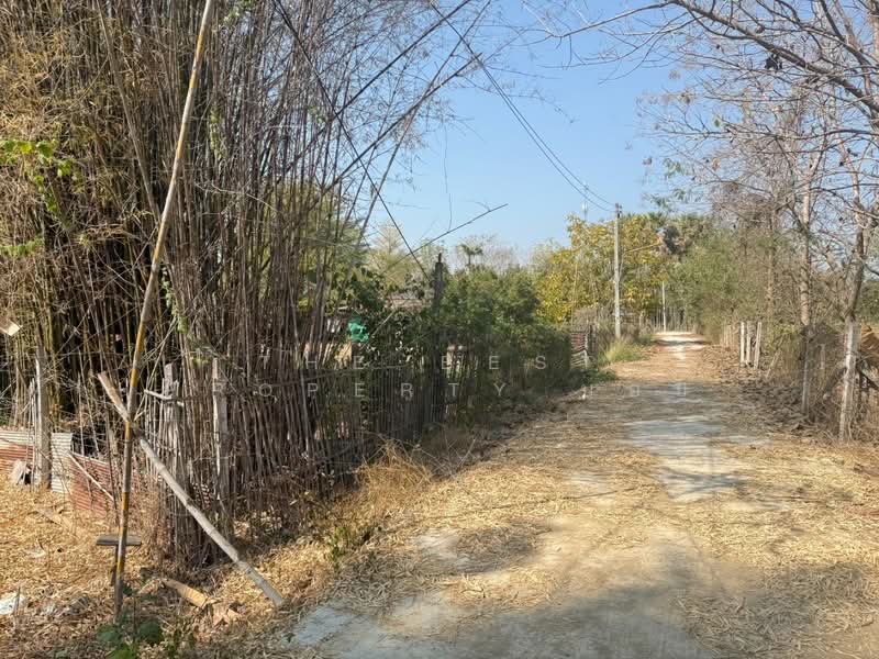 ที่ดินสันกำแพง เชียงใหม่, Chiang Mai, Buak Sang, San Kamphaeng, Chiang Mai, , 3,668 sqm, Land For Sale, by The Best Property บอย, 500165405 - DDproperty.com