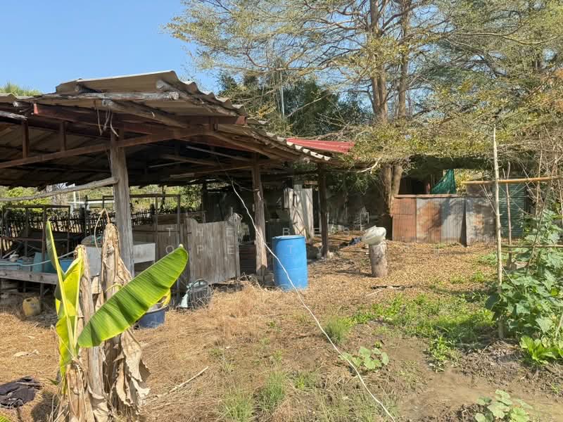 ที่ดินสันกำแพง เชียงใหม่, เชียงใหม่, บวกค้าง, สันกำแพง, เชียงใหม่, 3,668 ตร.ม., ที่ดิน ขาย, โดย The Best Property บอย, 500165405 - DDproperty.com