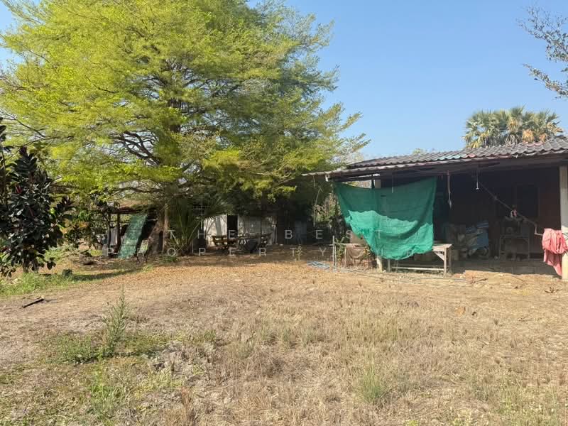 ที่ดินสันกำแพง เชียงใหม่, Chiang Mai, Buak Sang, San Kamphaeng, Chiang Mai, , 3,668 sqm, Land For Sale, by The Best Property บอย, 500165405 - DDproperty.com