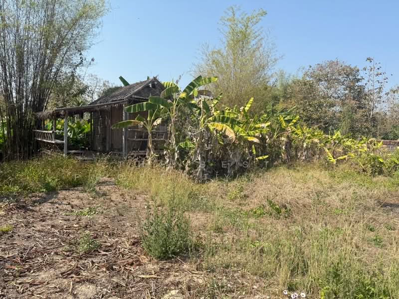 ที่ดินสันกำแพง เชียงใหม่, Chiang Mai, Buak Sang, San Kamphaeng, Chiang Mai, , 3,668 sqm, Land For Sale, by The Best Property บอย, 500165405 - DDproperty.com