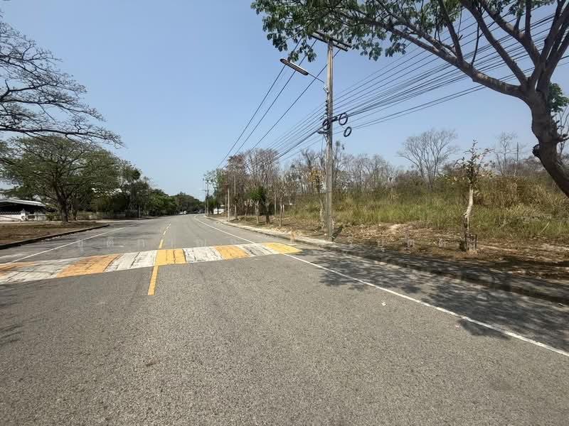 ขายที่ดินโครงการปัญญารีสอร์ท ศรีราชา 551 ตรว. วาละ 20,000 เท่านั้น ติดถนน 2 ด้าน แปลงใหญ่ หายาก, ชลบุรี, บางพระ, ศรีราชา, ชลบุรี, 2,204 ตร.ม., ที่ดิน ขาย, โดย ชุติกาญจน์ ศรีบุตตะ, 500165414 - DDproperty.com